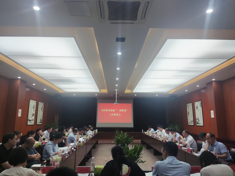 2024年7月17日，市國資委系統(tǒng)在公司開展“三組聯(lián)建”現(xiàn)場觀摩（推進會）_副本